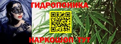 прущие грибы Пушкино