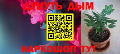 прущие грибы Пушкино
