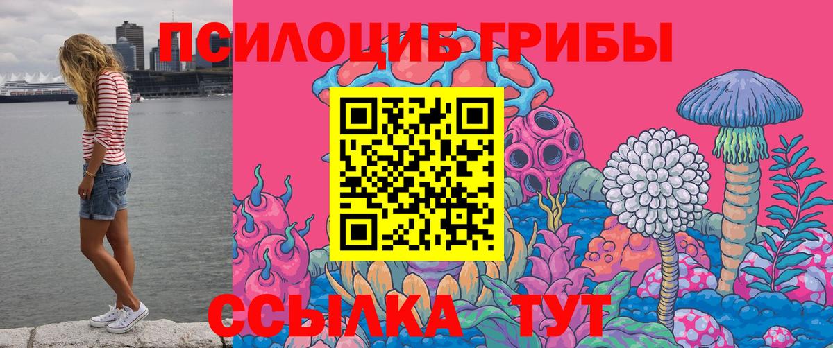 Псилоцибиновые грибы GOLDEN TEACHER  Вход с VPN  Подольск 