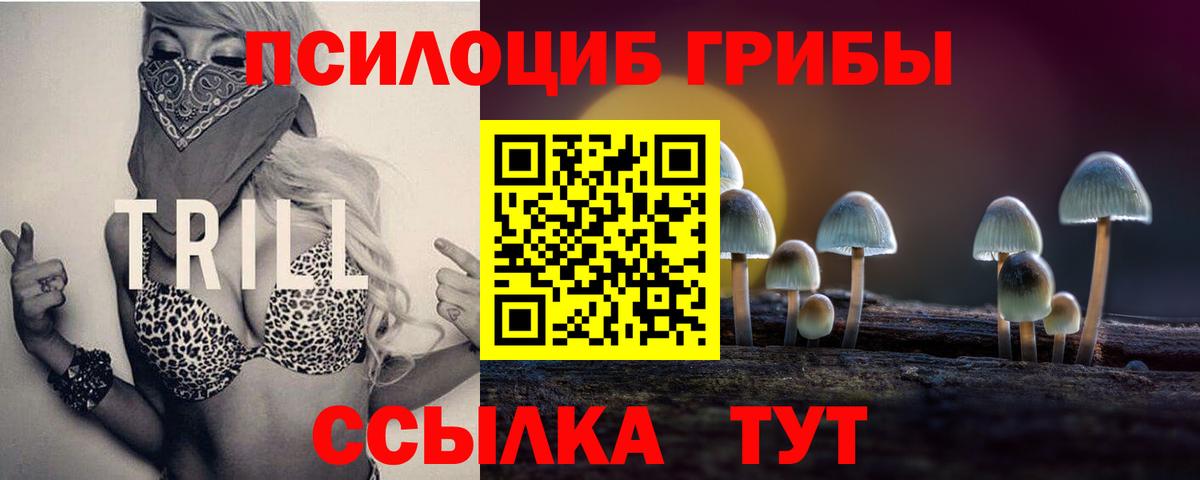 Галлюциногенные грибы мицелий Подольск
